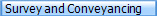  Survey and Conveyancing